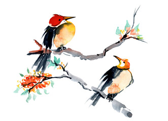 Two birds on a flowering branch.  Technique of Chinese painting.  Watercolor illustration.