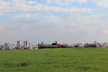 grass and city wiew