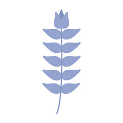 Fototapeta premium flower with a blue color