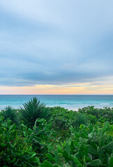 Fototapeta na wymiar beach with tropical vegetation at sunset