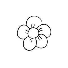 Vector hand drawn doodle sketch flower isolated on white background
