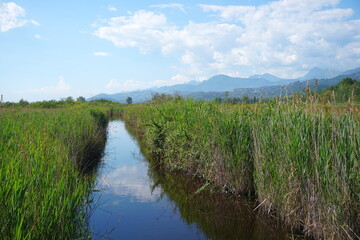 Massaciuccoli