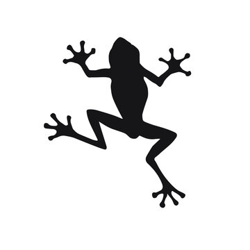 Vector hand drawn frog silhouette isolated on white background