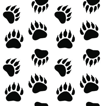 Vector seamless pattern of hand drawn bear paw footprint isolated on white background