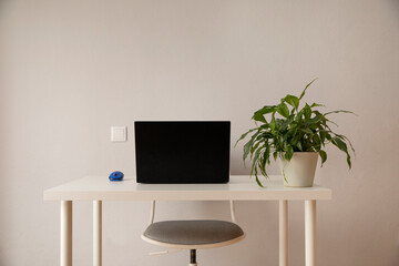 Puesto de trabajo minimalista con planta
