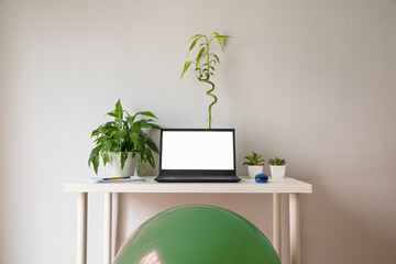Mesa de trabajo con pelota pilates y plantas
