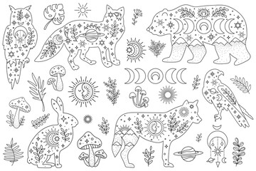 Vector hand drawn woodland animals for decoration. Bohemian clipart. Bear, fox, rabbit, wolf, owl, falcon
