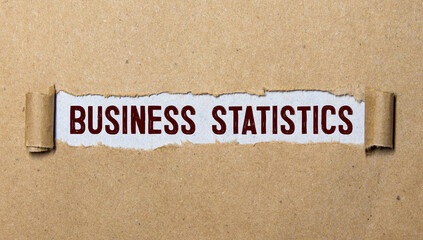 Text BUSINESS STATISTICS. torn paper