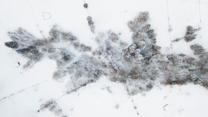 Winter landscapes with cold atmosphere