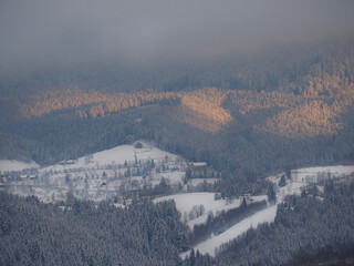 Beautiful light in the morning