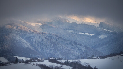 Beautiful light in the morning