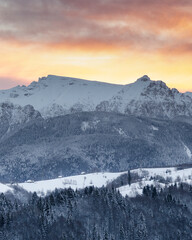 Beautiful light in the morning