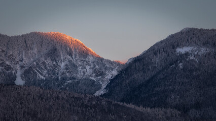 Beautiful light in the morning