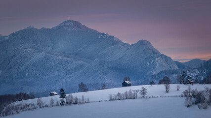 Beautiful light in the morning