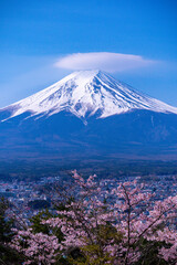 mountain and blossoms - Mount Fuji in Japan 