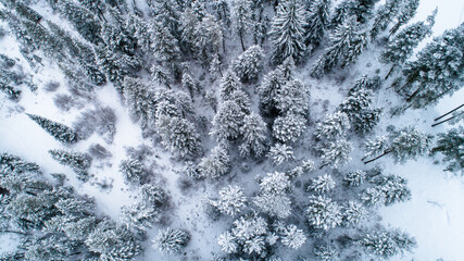 Bozeman MT Snowy Forest, Montana Snow Aerial