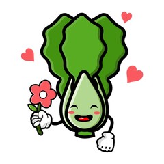 cute lettuce cartoon mascot character