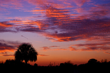 Florida sunset