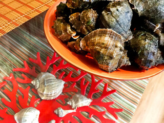 Dark Seashells, Shellfish on a red plate.