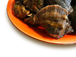 Dark Seashells, Shellfish on a red plate.