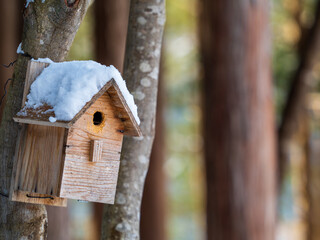 鳥の巣箱