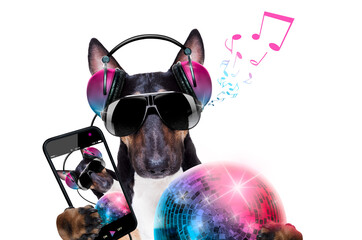 dj disco dancing music dog