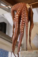Close up of octopus tentacles on display in Greece