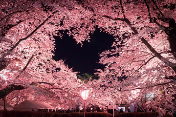【青森】弘前公園の空に浮かぶ桜のハートマーク