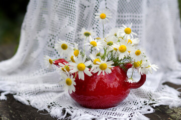Rustic still life with a bouquet of daisies in a red vase in the garden against a white curtain.
