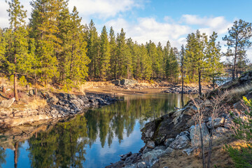 A lone Canadian Goose stands on the shores of the Spokane River near the Post Falls Dam in the Community Forest trail of of Post Falls, Idaho, USA