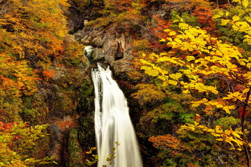 錦秋の秋保大滝
