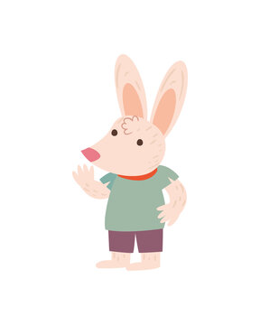 rabbit cartoon isolated vector design