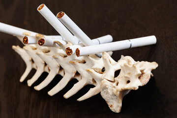 Quit Smoking. Close up cigarette on the skeleton of a dog's spine. Stop Smoking Cigarette Concept.