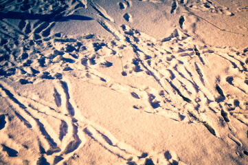 Footprints on snow - close-up