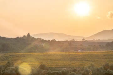 misty morning in the mountains bulgaria
