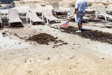 Ocean beach resort cleaning from seaweeds