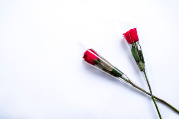 Red Rose Flowers in white background for valentines day gift