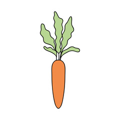 carrot vegetable icon, flat style