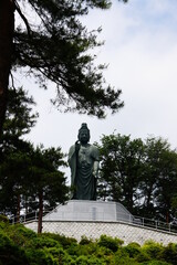 Fototapeta premium 塩船観音