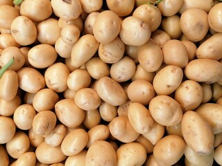 Papas frescas pequeñas o de cambray