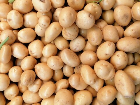 Papas frescas peque&ntilde;as o de cambray