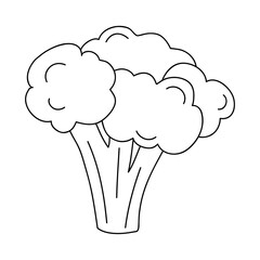 broccoli vegetable icon, line style