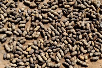 peanuts that are drying in the sun and have not been cleaned