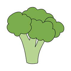 broccoli vegetable icon, flat style