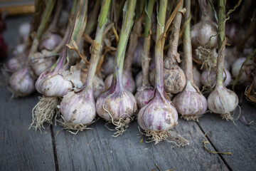 Thai garlic