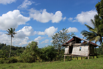 A broken old house 