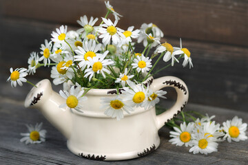 Still life with daisies in a white teapot on a wooden background.