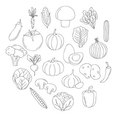 healthy vegetables icons around, line style