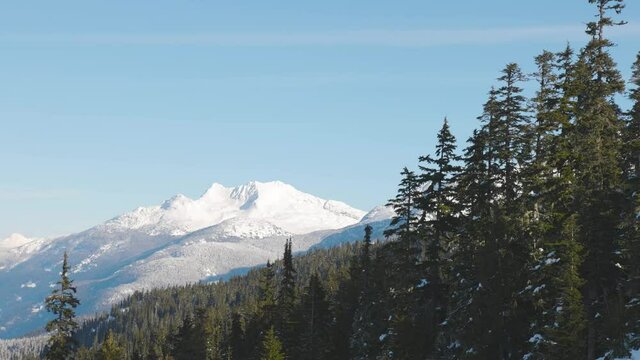 Snowy Forest on top of the mountains in winter during sunny morning. Beautiful White Canadian Nature. Taken in Whistler, British Columbia, Canada. Aerial View Slow Motion