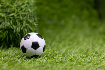 Soccer ball is on green grass background